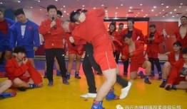 桑搏技能爆料最新,实战技巧与策略深度解析